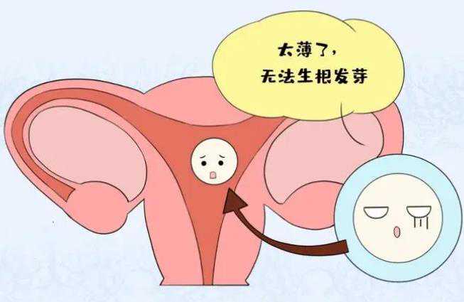 怎么找代孕公司,北京助孕试管费用？